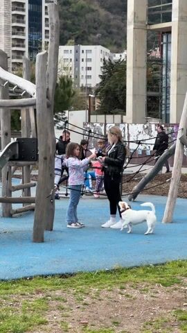 The video shows two girls and a small dog in a playground. The playground has wooden climbing structures on a blue rubber surface. The younger girl is holding up a piece of paper, while the older girl in a black leather jacket looks down at a white and tan dog standing in front of her. The older girl also appears to be holding papers. In the background, there are other people, including a group of children sitting at a table and a man walking away from the camera. Tall buildings and a hillside are visible in the distance.