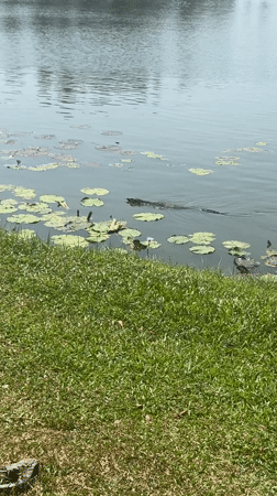 Morning lakeside scenes captured in Choeng Thale, Thailand