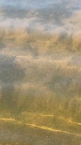 The video is a close-up, top-down view of rippling water. The water is a murky yellowish-brown and contains numerous small, bright white particles that are suspended within it, glinting in the light. The surface of the water is disturbed by gentle waves, creating patterns of light and shadow. The overall impression is of disturbed sediment or plankton in shallow water.
