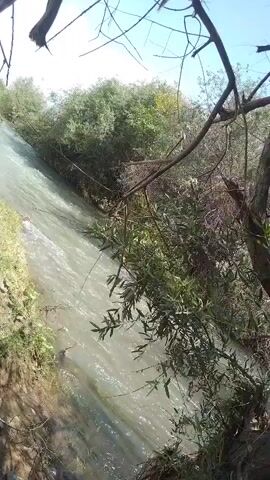 The video shows a stream flowing downhill with trees and vegetation along the banks. The water is murky and appears to be moving quickly. The sun is shining, casting shadows on the water and trees. The camera is positioned at an angle, looking down at the stream.