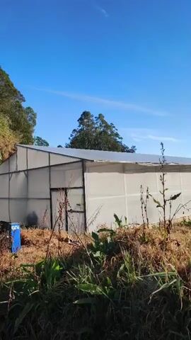 A wide shot, taken from ground level and angled upward, shows a long, white greenhouse structure with a silver roof. The greenhouse is located in a rural, outdoor environment with dry grass and weeds in the foreground and trees and mountains in the background under a bright blue sky with some wispy clouds. To the right of the greenhouse, a small cluster of buildings and a silver van are visible. The video pans slowly from left to right, revealing more of the surrounding landscape and the van.