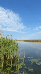 Spring morning scenes documented across rural Leningradskaya, Russia