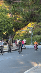 Evening lakefront activity documented in Da Lat with lotus installations