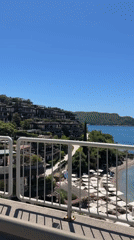 Clear skies frame scenic Budva coastline views