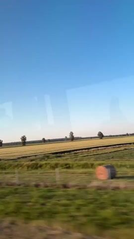 A car is moving on a sunny day, and the camera is pointed out the window. The window reflects images of people inside the car. Outside, a green field is next to a wheat field. There are trees in the distance. A fence is in the foreground. The sky is blue.