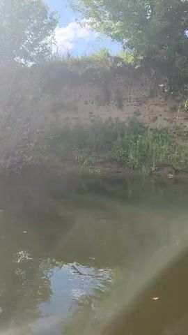 A video shows a muddy river flowing in front of a sandy bank. The bank is covered with green vegetation and has numerous small holes in it, which appear to be nests for birds. Trees line the top of the bank. The sun is shining brightly, and there are clouds in the sky.