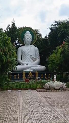A large white Buddha statue is positioned in the center of the frame, surrounded by lush green trees and foliage. The statue is seated in a meditative posture with its eyes closed and a serene expression. A circular halo with green and gold accents adorns the back of the Buddha's head. In front of the statue, a collection of offerings, including flowers and small golden statues, are arranged on a platform. Several lotus flower motifs are also visible in front of the platform. The foreground features a paved walkway made of rectangular bricks. To the right of the main Buddha statue, several smaller statues of figures in similar postures are visible, as well as a cluster of lotus flower sculptures. Further back, amidst the trees, a series of stone statues are displayed, some of which appear to be Buddhas or other religious figures. Two peacocks are walking across the paved area in front of these statues. The sky above is overcast with some visible clouds.