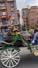 Horse-drawn carriage spotted on Marrakesh street