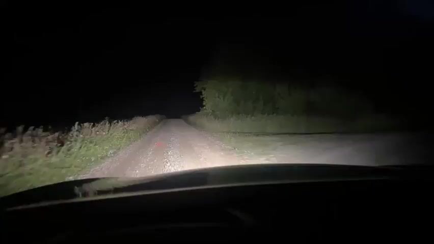 The video shows a first-person perspective from inside a vehicle driving on a dirt road at night. The headlights of the vehicle illuminate the road ahead, which is flanked by tall grass and vegetation. A red marker is visible on the road in the distance. The sky is dark, indicating nighttime. The trees on the right side of the road are visible in the beam of the headlights. The vehicle appears to be moving forward.