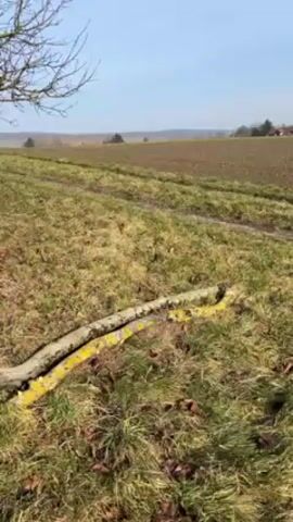 The video shows a grassy field with a few trees. In the distance, there is a brown vehicle parked in the field. The video pans to the right, showing more trees and a dry, grassy ground. The sky is blue. A chainsaw can be heard, indicating someone is cutting wood nearby.
