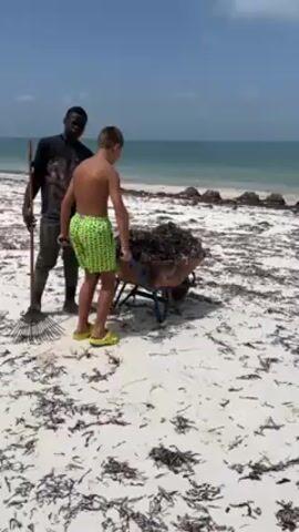 On a sunny beach, a young boy with fair skin and short blond hair, wearing a pair of patterned swim trunks and yellow sandals, is pulling a wheelbarrow piled high with seaweed across the white sand. An adult Black man stands beside him, holding a rake and looking directly at the camera. The man is wearing a dark t-shirt and green pants. The beach is covered in patches of seaweed, and the ocean is a clear turquoise color. The sky is mostly blue with a few scattered clouds.
