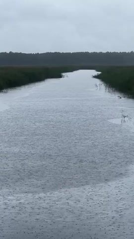 The video shows a view of a body of water, likely a canal or slow-moving river, on an overcast day. The water's surface is visibly disturbed by falling raindrops, creating ripples. The water is bordered by grassy banks on both sides, which transition into a dense line of trees in the distance, forming the horizon. The sky is cloudy and grey, suggesting a rainy or overcast weather condition. There are no people or artificial structures visible in the frame. The camera appears to be stationary, offering a static perspective of the natural scene.