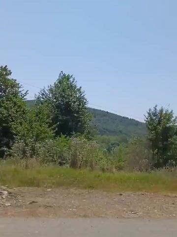THE VIDEO SHOWS A PANNING SHOT ACROSS A RURAL LANDSCAPE. THE FOREGROUND CONSISTS OF A DIRT ROAD OR PATHWAY. THE MIDDLE GROUND IS DOMINATED BY GRASSY AREAS AND VARIOUS TYPES OF TREES AND BUSHES, SOME DENSELY WOODED. IN THE BACKGROUND, ROLLING HILLS COVERED IN GREEN VEGETATION ARE VISIBLE UNDER A CLEAR BLUE SKY. THE LIGHTING SUGGESTS IT IS DAYTIME, LIKELY SUNNY. THERE ARE NO PEOPLE OR ANIMALS VISIBLE IN THE VIDEO. THE SCENE APPEARS TO BE A NATURAL OUTDOOR ENVIRONMENT.