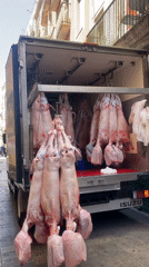 Barcelona morning captures delivery truck and turtle street art