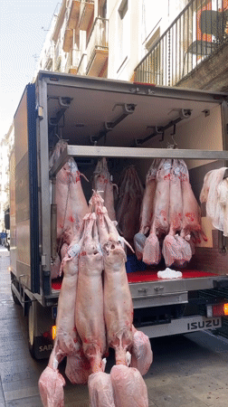 Barcelona morning captures delivery truck and turtle street art