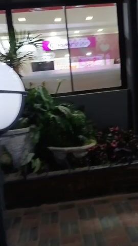 The video depicts a leisurely stroll alongside a storefront, punctuated by planters with dense greenery and reddish-brown brick. The sidewalk is constructed of reddish-brown bricks, arranged in a checkerboard pattern. Beyond the planters, the storefront windows display blurred images and neon signs. In the distance, a streetlight illuminates a parking lot. The sky is overcast, suggesting it could be dusk or evening. The camera's movement is fluid, following the sidewalk's path.