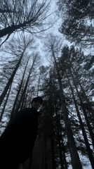 Person photographed walking through pine forest in rural Russia