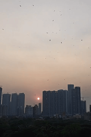 Mumbai residents capture sunset cityscape and outdoor family moment