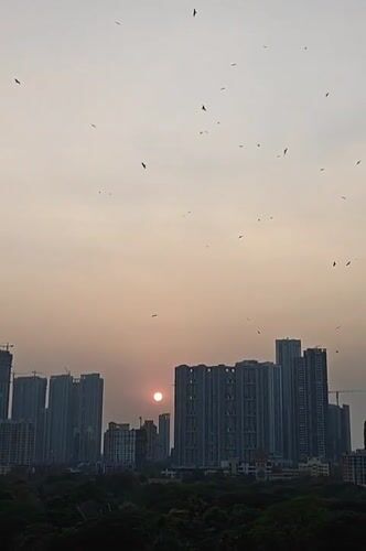 Mumbai residents capture sunset cityscape and outdoor family moment