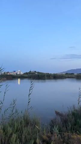 This is a video of a scenic view of a body of water with vegetation in the foreground and mountains in the distance. The sky is a clear blue with a few wispy clouds. The sun appears to be setting or has just set, casting a soft, diffused light on the scene. The water is calm and reflects the sky. The vegetation includes tall reeds and bushy shrubs. There are some buildings visible in the far distance on the left side of the frame, and their lights are on, suggesting it is dusk. The overall mood of the video is peaceful and serene. The location is Vera, Spain.