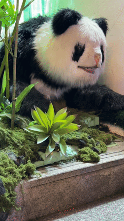 Woman Takes Bathroom Selfies in Busy Chongqing District