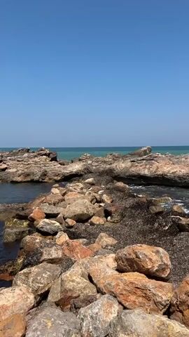 A vertical video shows a rocky coastline on a clear, sunny day. The foreground is dominated by a jumble of large, weathered rocks in shades of tan, brown, and gray, some covered in dark seaweed. A narrow pathway of rocks leads the eye toward the ocean. The ocean itself is visible in the background, with calm, dark water in the inlet and lighter, turquoise water further out. Beyond the water, a clear, bright blue sky stretches to the horizon. There are no people or animals visible in the frame. The overall impression is one of a rugged, natural coastal landscape.