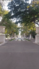Evening park scenes captured in Caracas formal gardens