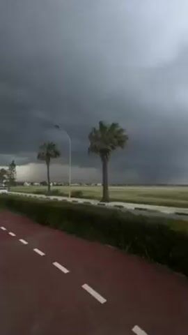 The video shows a view of a field with palm trees under a cloudy sky. The camera is positioned on a red path lined with a green hedge. In the initial shot, two palm trees are visible against a backdrop of dark, storm-like clouds. As the video progresses, the camera pans slightly to the right, focusing on one of the palm trees. The clouds shift, revealing patches of blue sky. A white car drives by on the road that separates the path from the field. The light changes throughout the video.
