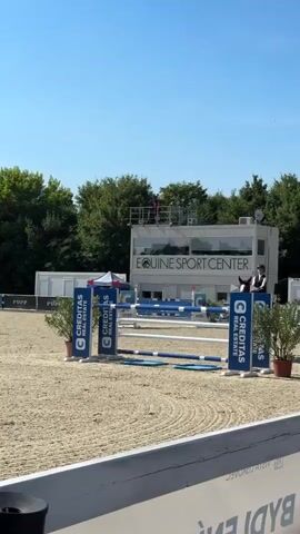 A person on a brown horse is jumping over an obstacle. The horse and rider are mid-air as they clear the jump. The ground is covered in sand, and there are trees and buildings in the background. The sky is blue with some clouds. There are several blue and white banners around the arena.