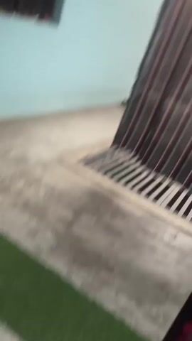 The video opens to a shot of a drain cover and a striped curtain on the right. The floor appears to be concrete, and the wall on the left is light blue. The camera then pans down to the right, revealing a strip of artificial grass placed on the concrete floor. The rest of the video continues to show the artificial grass and the concrete floor, with the drain cover and curtain visible in the background.