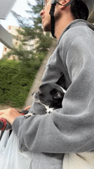Cyclist carries small dog in sweatshirt through Tel Aviv