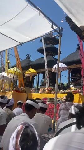The video shows a ceremony taking place outdoors under a bright blue sky, with a temporary white canopy providing shade. In the background, traditional Balinese tiered temples with black roofs are visible. Several decorative umbrellas, some yellow and some white, are placed around the area, along with offerings. A group of people, mostly men wearing white shirts and headbands, are seated in the foreground, facing away from the camera. Their backs are to the viewer as they observe the ceremony. The scene appears to be a cultural or religious event.