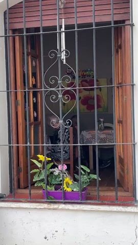 The video shows a view through a barred window, with an older woman seated inside the room. The window frame is wooden and open, with black metal bars forming a protective grill. A purple rectangular planter filled with small sunflowers and other plants sits on the windowsill. Inside the room, the woman is seated at a table with a patterned tablecloth, and a jar is visible on the table. A framed picture of flowers and a banner are visible on the wall in the background. The exterior wall around the window is white, and a wind chime hangs outside the window. The camera remains static throughout the short clip.