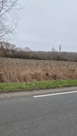 The video shows a drive-by view of a rural landscape on an overcast day. The camera appears to be mounted inside a moving vehicle, capturing the view from the passenger side. A gray asphalt road with white lane markings runs parallel to a grassy verge. Beyond the verge, the terrain consists of a mix of fields with bare soil, patches of tall, dry reeds or grasses, and lines of bare deciduous trees and shrubs. The sky is uniformly gray and overcast, suggesting a cloudy or dull weather condition. The car’s side mirror is partially visible in the bottom right corner of the frame. No people or other vehicles are visible.