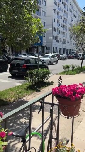 Girl reads book in Podgorica cafe during sunny morning