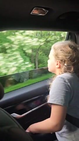 A young girl sits in the back seat of a car, looking out the window. She has blonde hair in a braid and is wearing a gray t-shirt. The trees outside the window are blurred, suggesting the car is moving.  The car interior is dark, and the girl is wearing a seatbelt. The girl glances at the camera, then back out the window.