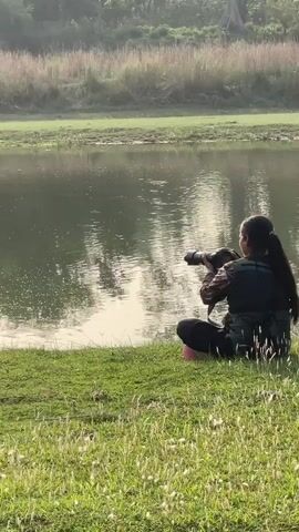 A photographer is taking pictures of a body of water. Another person walks by with a long stick. Two rhinoceroses enter the water and walk across it. The sky is a pale color, and the opposite bank is lush with trees.