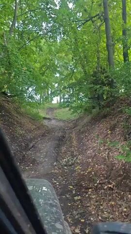 This is a first-person perspective video of someone driving an off-road vehicle through a wooded area. The vehicle is on a dirt path that appears to be uphill. The path is rutted and covered with fallen leaves. Tall trees with green foliage line both sides of the path, creating a canopy overhead. The lighting suggests it is daytime and possibly overcast. There are no other people or significant objects visible in the frame other than the vehicle and the natural environment.