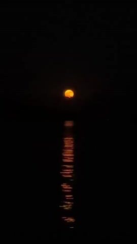 The video shows a full moon in a dark sky, with its reflection visible on the surface of dark water. The moon appears orange and is positioned at the top center of the frame. A rippling reflection of the moon extends downwards into the water. The overall scene is dark and peaceful, with no other objects or figures visible.