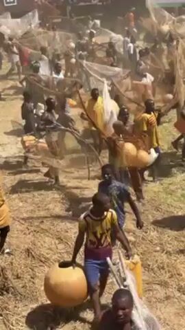 A medium, high-angle shot shows a large group of people walking across a grassy field. Most of the people are carrying fishing nets and large, round objects, possibly gourds or containers. Some are wearing yellow clothing. The field is covered with dry grass and straw. In the background, there are blurred structures and signs. The scene appears to be a cultural event or festival involving a traditional fishing activity.