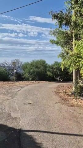 A road curves through a sparsely vegetated area towards a body of water. The road appears paved and is in moderate condition. On the right side of the road, there is a wooden fence and a stone wall. Trees and bushes are present on both sides of the road. The sky is blue with some scattered clouds. The overall environment suggests an outdoor, possibly coastal, setting. There are no people or animals visible in the video.