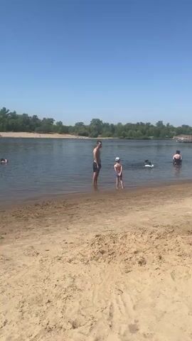 The video shows a sandy beach next to a wide, calm river under a clear blue sky. Two people are standing in the shallow water near the shore. A man, wearing black swim trunks, stands facing the river. A young boy, wearing blue swim trunks and a white cap, stands facing away from the camera, also in the shallow water. In the distance, on the river, a dark-colored object, possibly a dog, is visible in the water near what appears to be an inflatable float. The opposite bank of the river is lined with lush green trees. The scene suggests a relaxed, sunny day at the river.