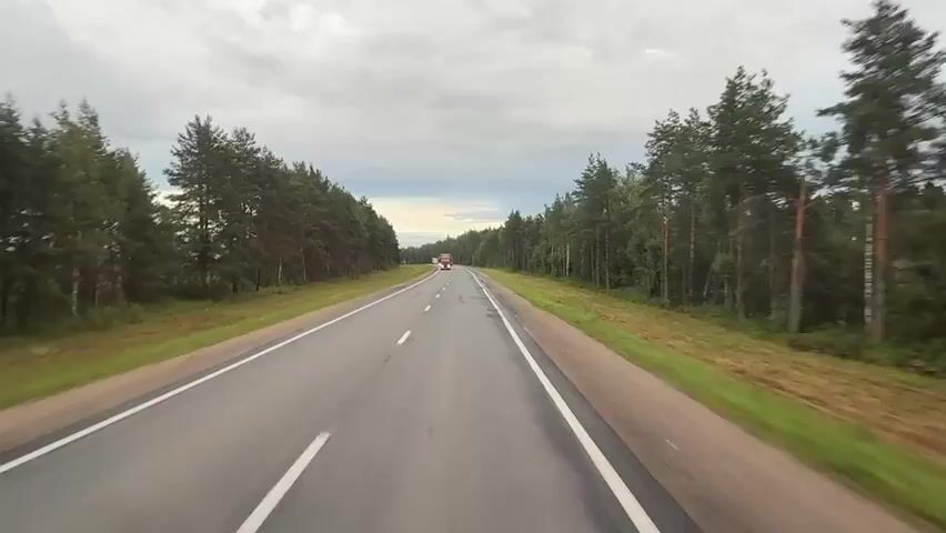 The video shows a view from a vehicle traveling on a wet asphalt road lined with trees on both sides. The road has white dividing lines. In the distance, there are two red trucks, one behind the other. As the vehicle approaches, the first truck is a red Volvo. Then, a large blue truck passes by on the left. Following that, a dark red truck is seen driving on the road. In the background, another truck is visible. The sky is cloudy.