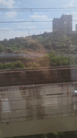 Train passenger films scenic bridge and hillside views in China
