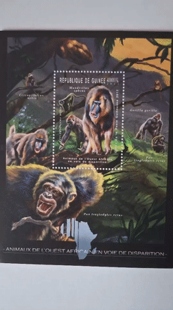 Guinea primate stamps examined in Bulgaria philatelic session