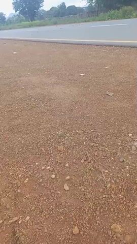 The video shows a person walking on a dirt road next to a paved road. The paved road has a yellow line on the right edge. The environment appears to be rural or undeveloped, with some sparse vegetation visible in the distance. The camera is moving, suggesting the person is recording their walk.