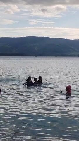 The video depicts a group of people swimming in a body of water, possibly a lake or bay, with a mountainous shoreline in the background. Several individuals are clustered together in the water, while another person wearing a pink cap or hood is slightly separated. The water surface is slightly rippled, and the sky is partly cloudy, suggesting a bright but overcast day.
