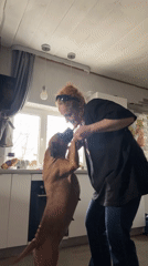 Woman dances with dog in kitchen in Chaikovsky
