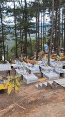 Decorated hillside cemetery documented in Vietnamese pine forest