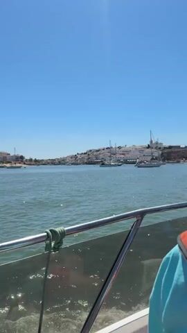 A boat is on the water with a town in the background. The water is blue and calm. There are several boats in the distance. The town is on a hill and is white with red roofs. There are trees on the sides of the town. The sky is blue and clear. A person is sitting on the boat, facing away from the camera. The person is wearing a life jacket and a hat. The boat has a metal railing.